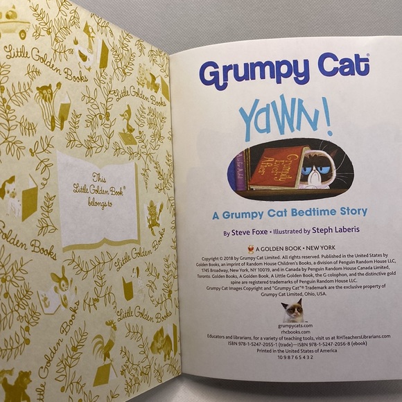 Yawn! A Grumpy Cat Bedtime Story A Little Golden Book Hardcover By Steve Foxe - Picture 2 of 9
